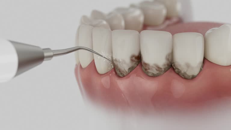 Reliable Dental contractor in Maury, NC by Dentist Open Now